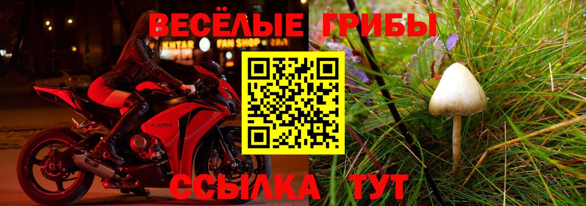 Котлас  Галлюциногенные грибы MAGIC MUSHROOMS  Вход с VPN 
