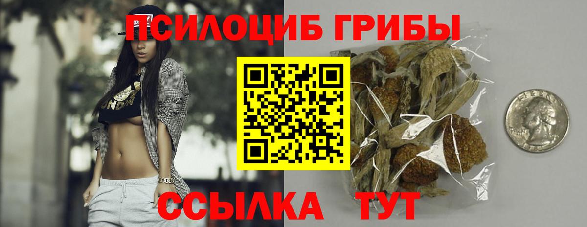 Псилоцибиновые грибы прущие грибы Котлас
